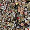 Buttons